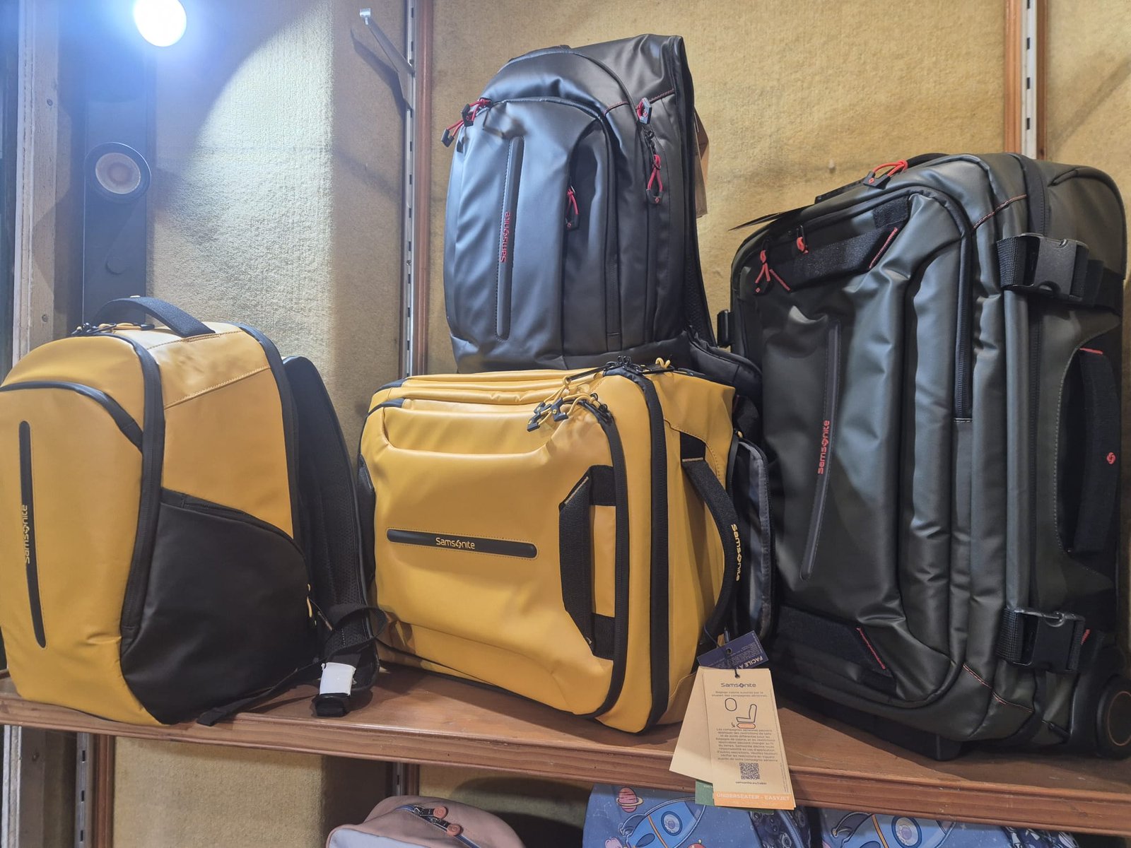 WhatsApp Image 2025-11-06 at 1.29.35 PM (1)